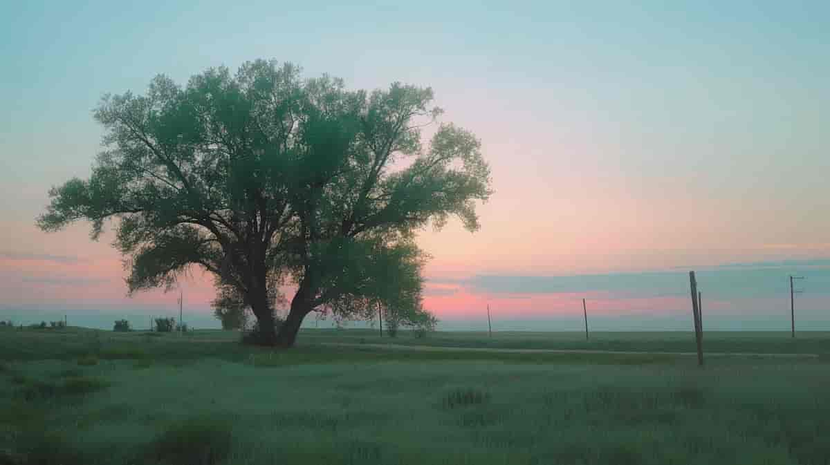 Landscape